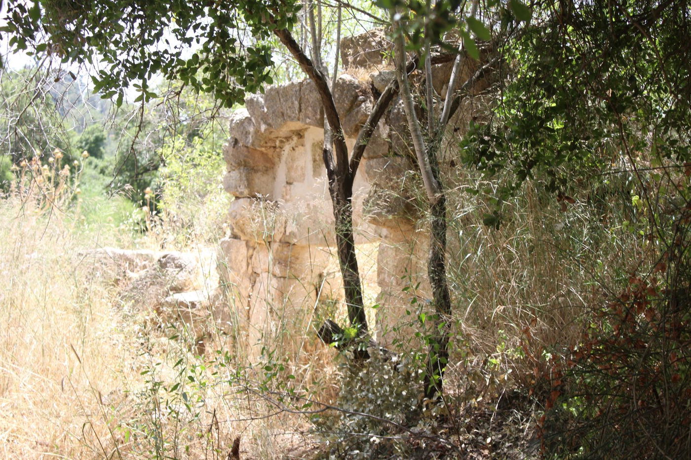 "חורבת סעדים" וה'סגולה' של השייח המקומי