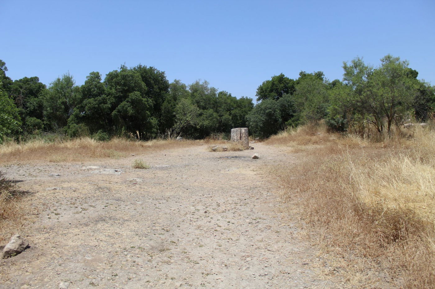 "חורבת סעדים" וה'סגולה' של השייח המקומי
