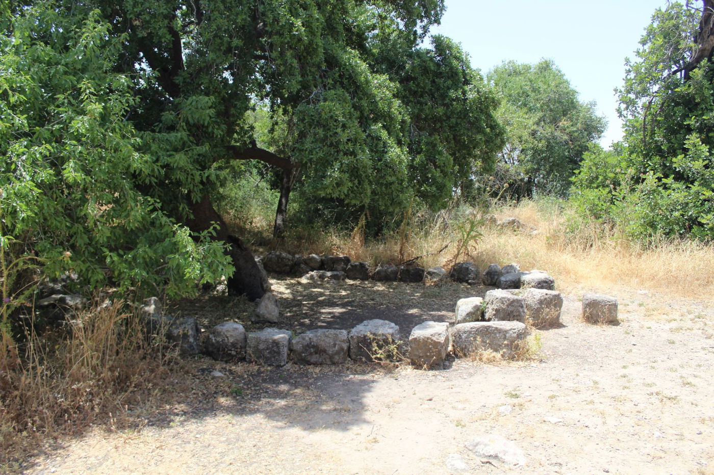 "חורבת סעדים" וה'סגולה' של השייח המקומי