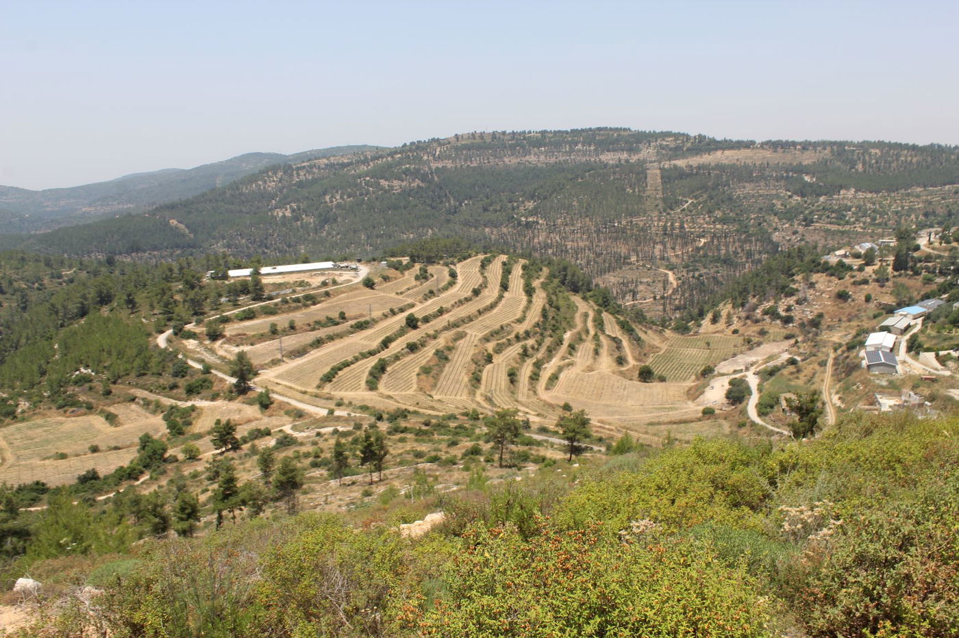 "חורבת סעדים" וה'סגולה' של השייח המקומי