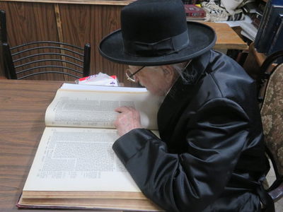 האון רבי יצחק שיינר בלימוד