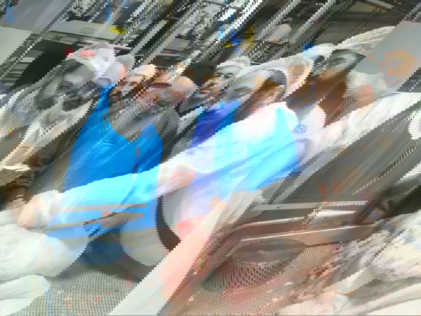 חותמת 'מהדרין' נוספת למשחטות מותג הבשר 'וול דאן'