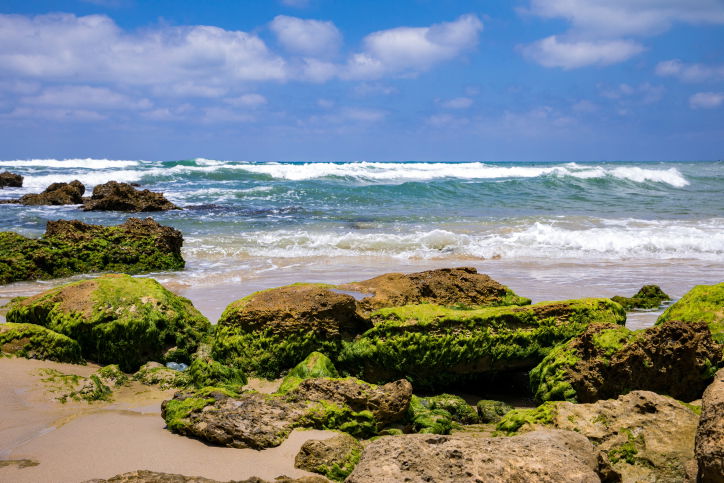 גל יישאנה // דפנה קורץ