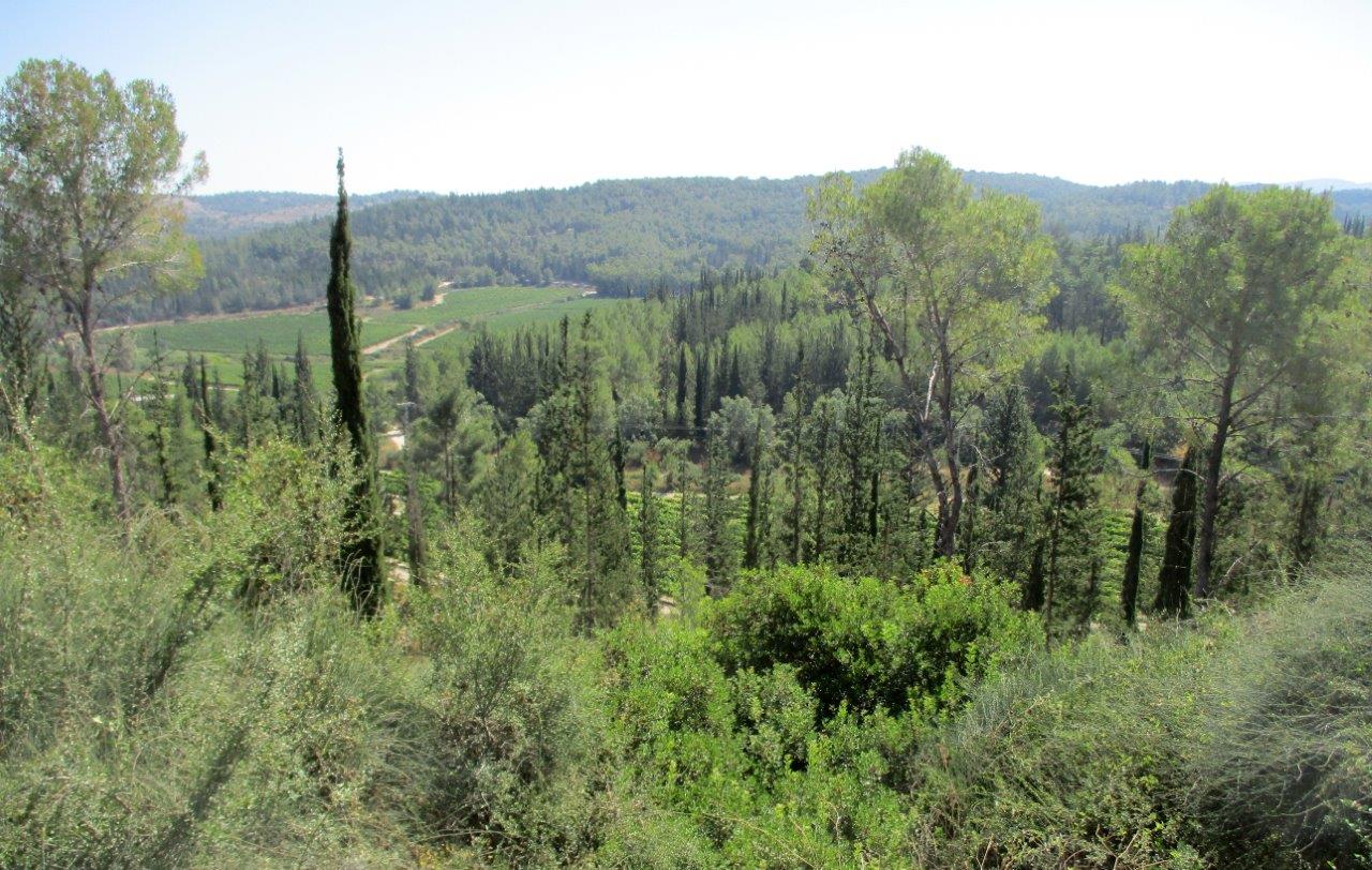 טיול דרך עדשת המצלמה ל'דרך בורמה'