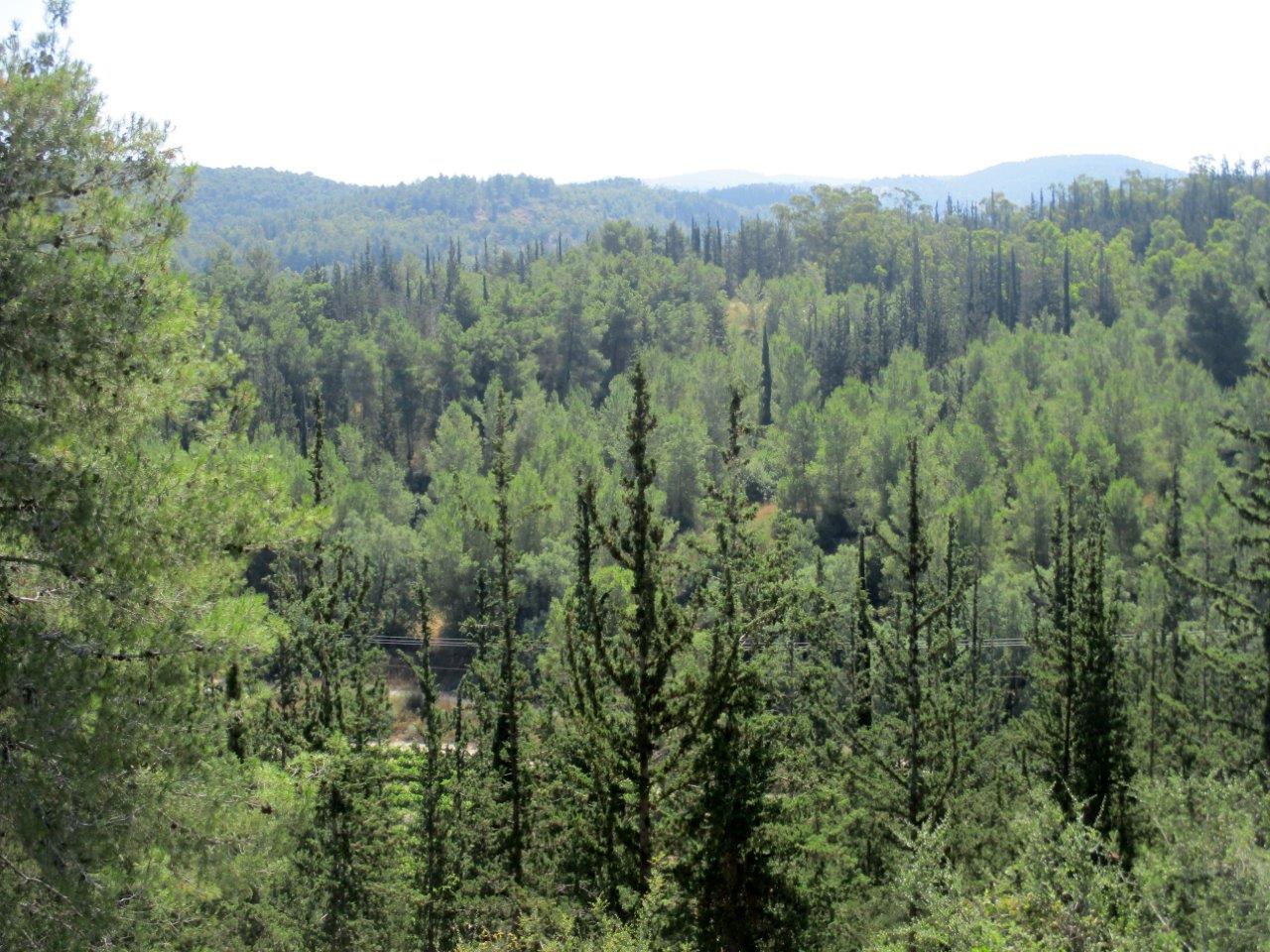טיול דרך עדשת המצלמה ל'דרך בורמה'