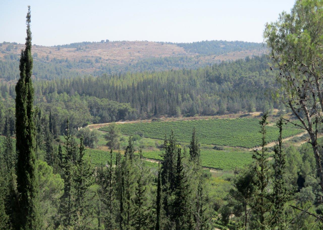 טיול דרך עדשת המצלמה ל'דרך בורמה'