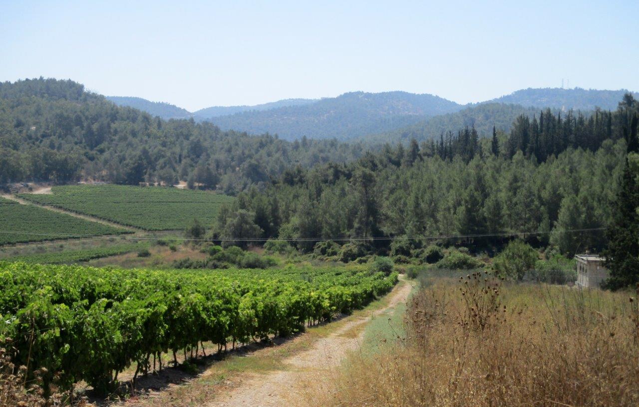 טיול דרך עדשת המצלמה ל'דרך בורמה'