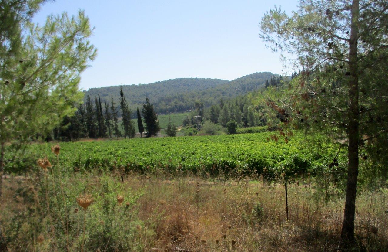 טיול דרך עדשת המצלמה ל'דרך בורמה'