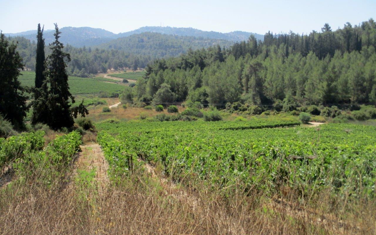 טיול דרך עדשת המצלמה ל'דרך בורמה'