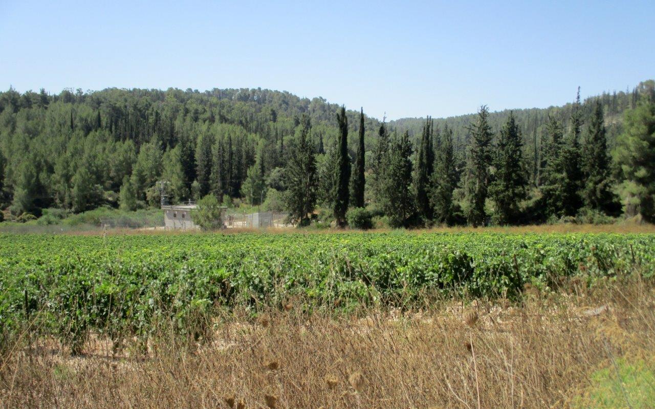 טיול דרך עדשת המצלמה ל'דרך בורמה'