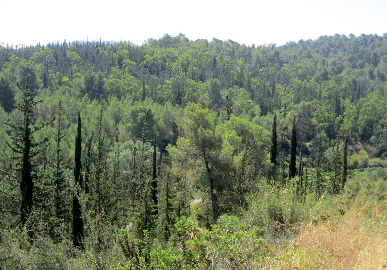 טיול דרך עדשת המצלמה ל'דרך בורמה'