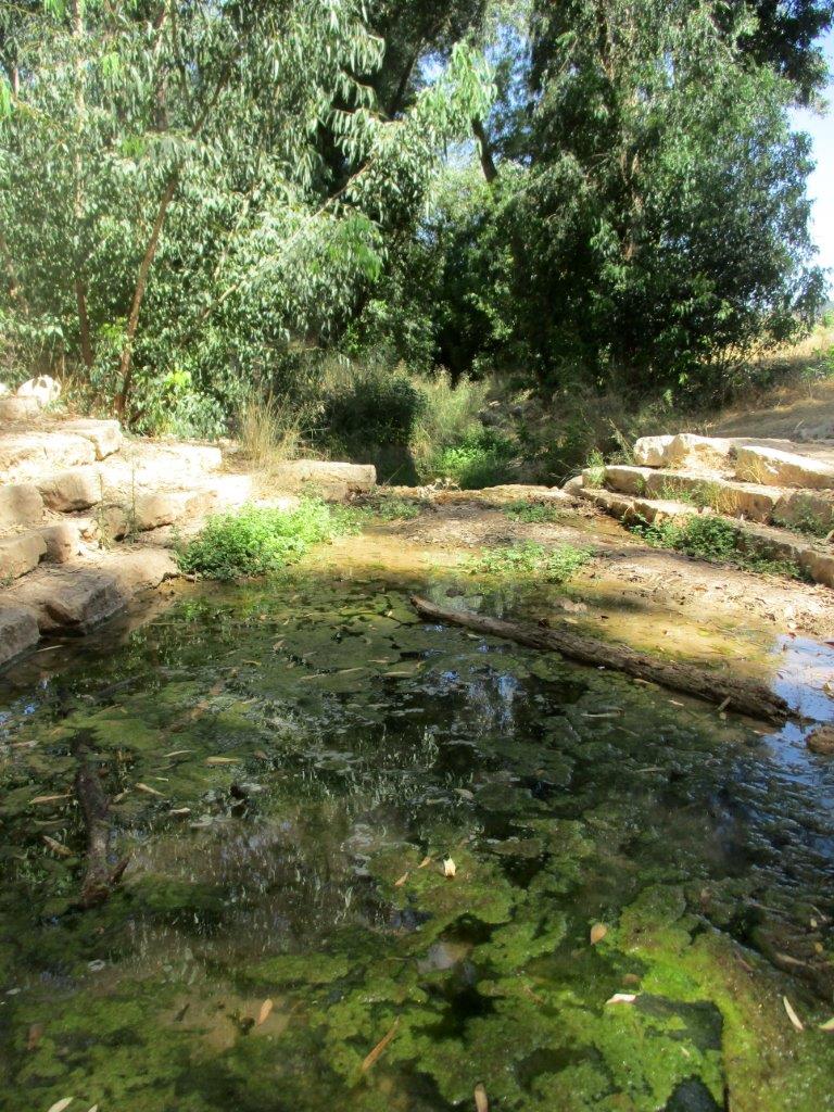 טיול דרך עדשת המצלמה ל'דרך בורמה'