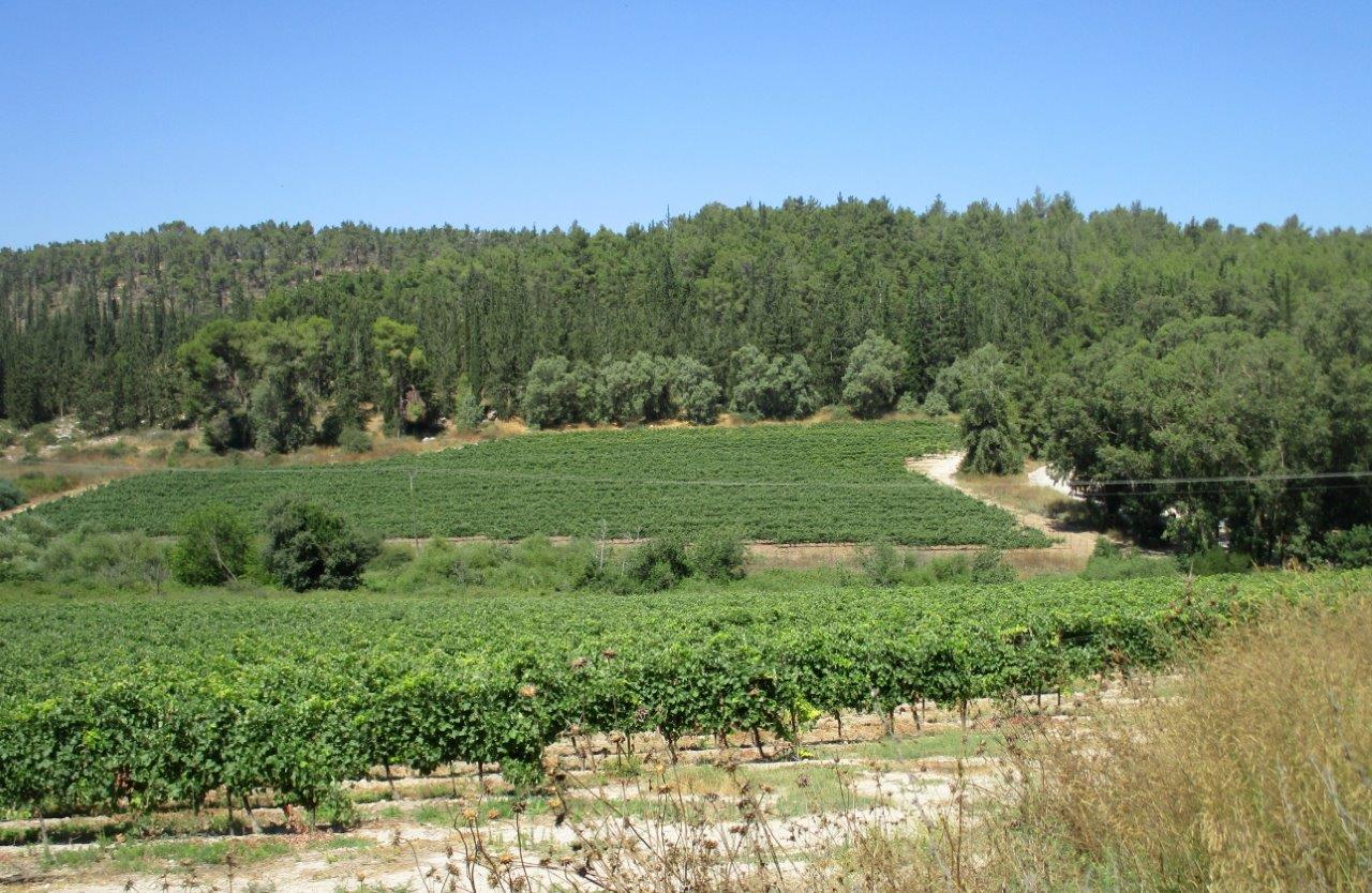 טיול דרך עדשת המצלמה ל'דרך בורמה'