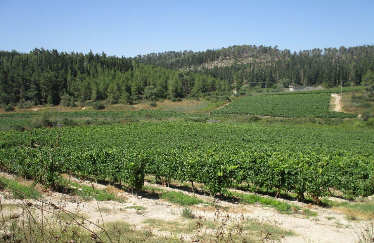 טיול דרך עדשת המצלמה ל'דרך בורמה'