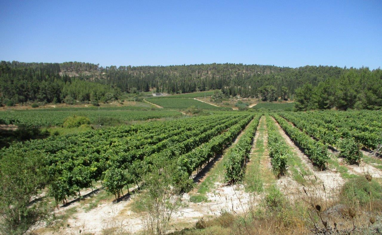 טיול דרך עדשת המצלמה ל'דרך בורמה'