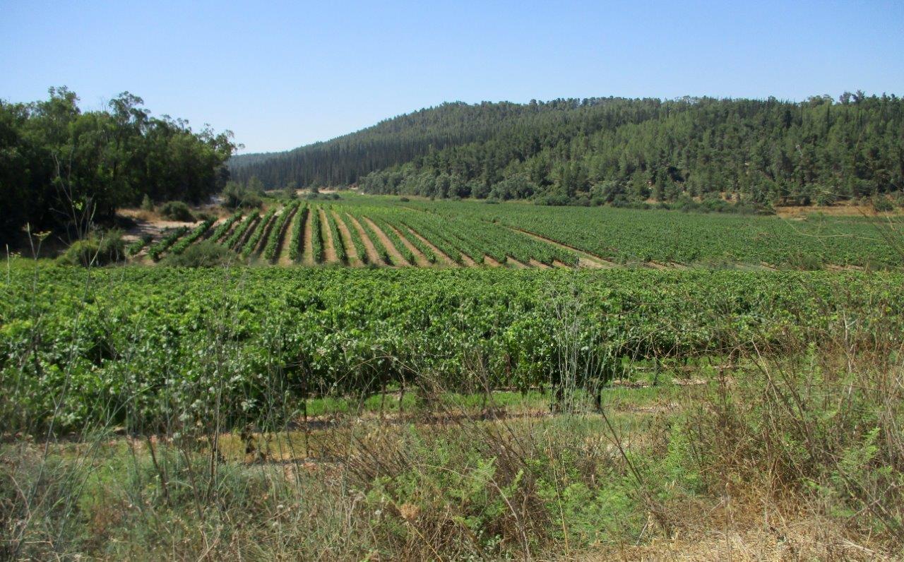 טיול דרך עדשת המצלמה ל'דרך בורמה'
