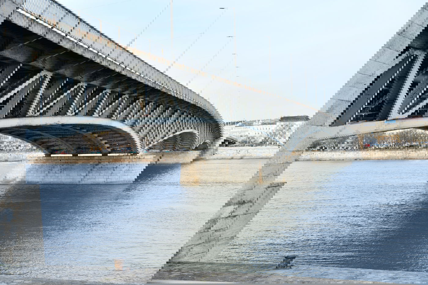 צפו בטעימה מיוחדת מעבודותיו של מוטי גרין