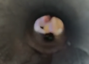 מגלשה וגדרות: מפגש עם בחורי הקפסולות