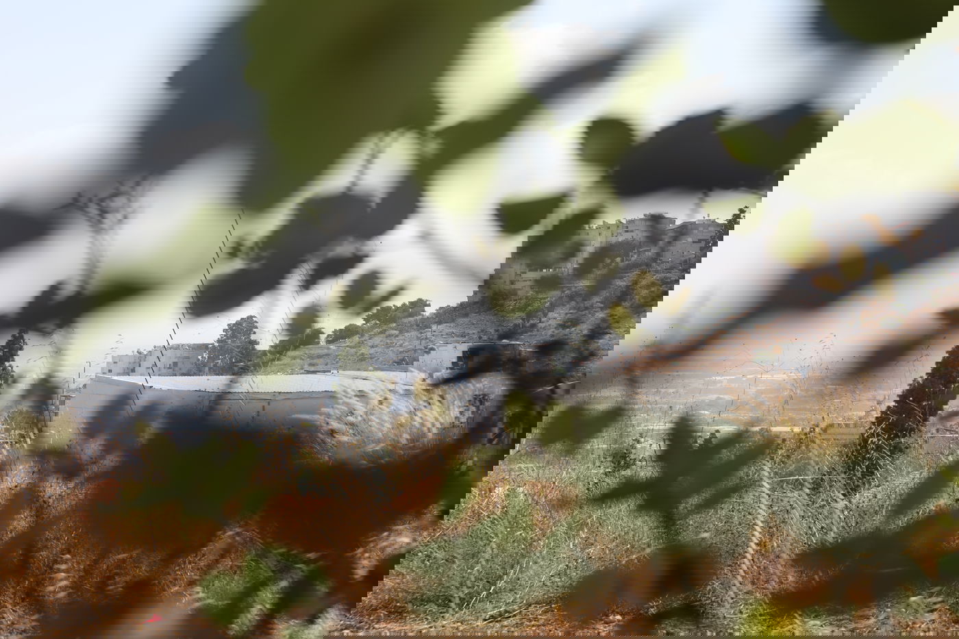 מהרכבל: תיעוד מרהיב של הים והעיר חיפה