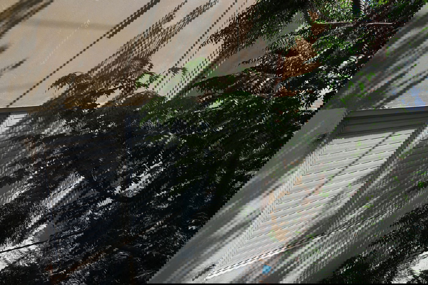 מהרכבל: תיעוד מרהיב של הים והעיר חיפה