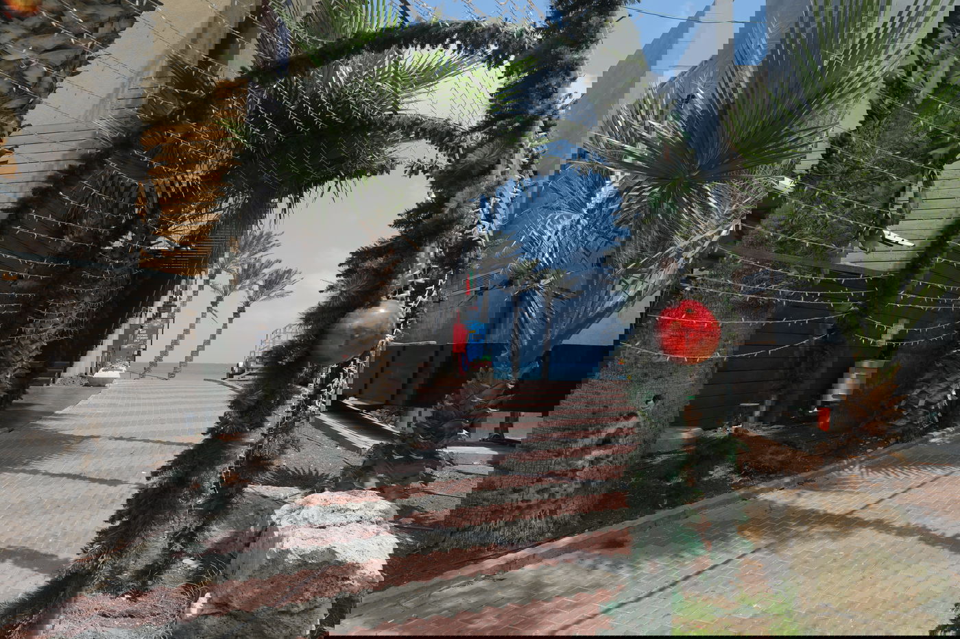 מהרכבל: תיעוד מרהיב של הים והעיר חיפה