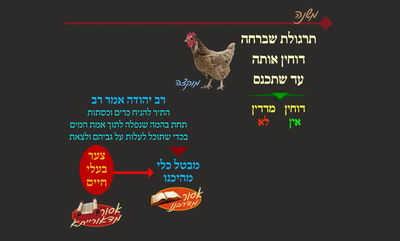 הדף היומי: מסכת שבת, דף קכ"ח • סיכום והמחשה