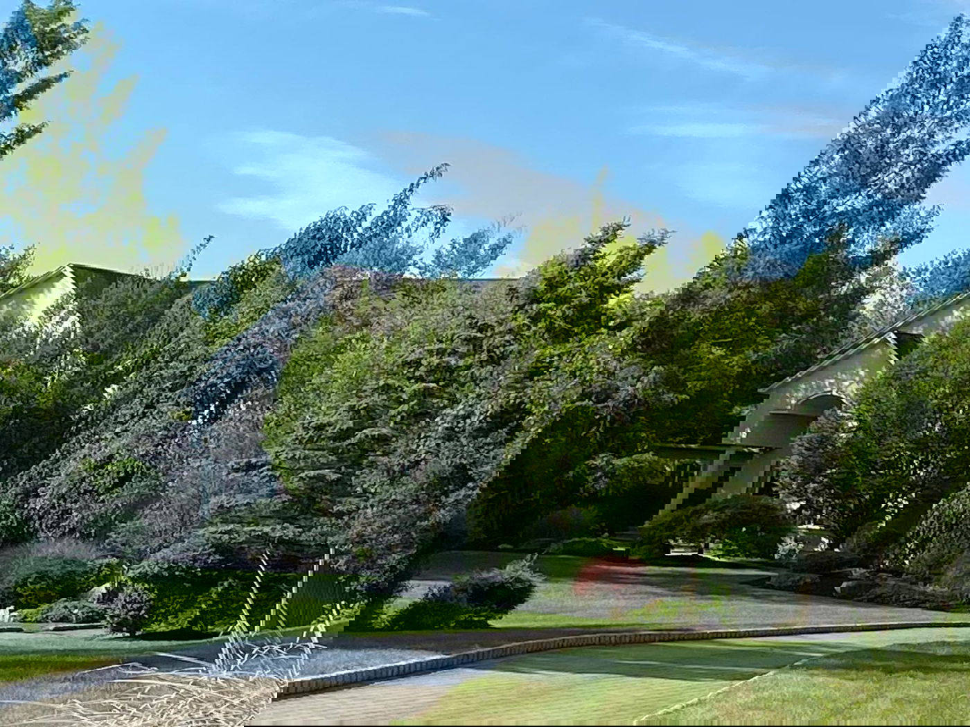 הליטאי המודרני שהתקרב לרב שטיינמן ו"יקדש" את אל על