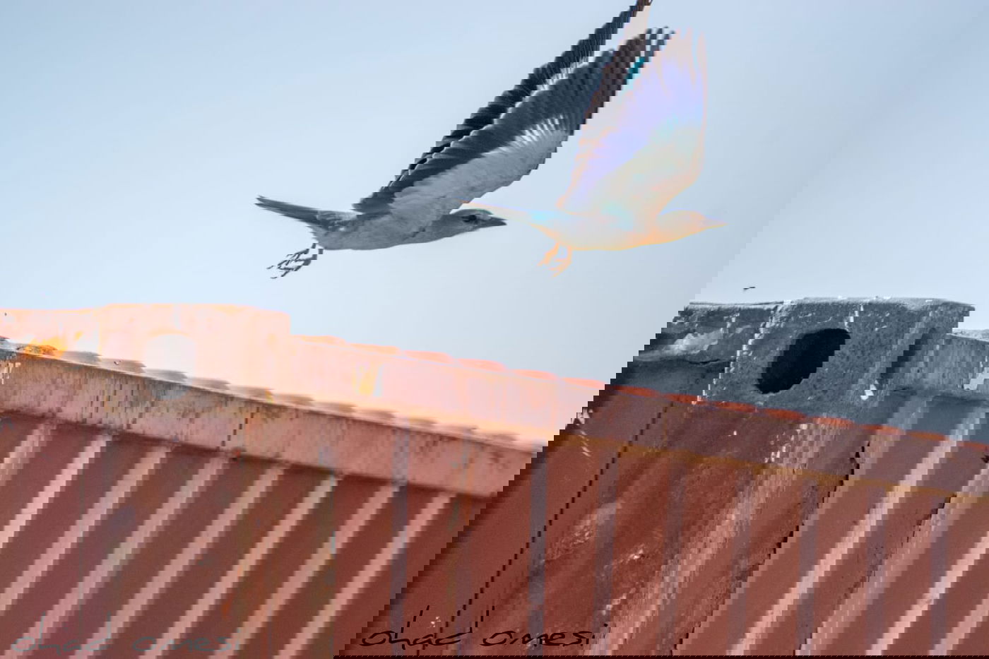 מָה רַבּוּ: הטבע המרהיב במרכז רמת הגולן