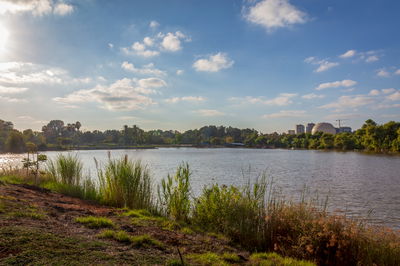 פארק הירקון בתל אביב