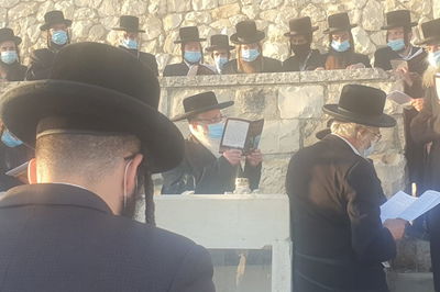 עם מסכה: הרבי מצאנז עלה לציון גיסו • צפו