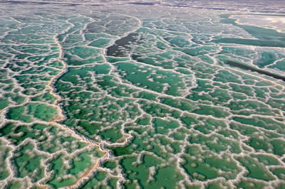 גבישים בים המלח