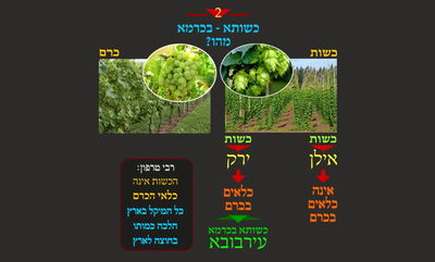 הדף היומי: מסכת שבת, דף קל"ט • סיכום והמחשה