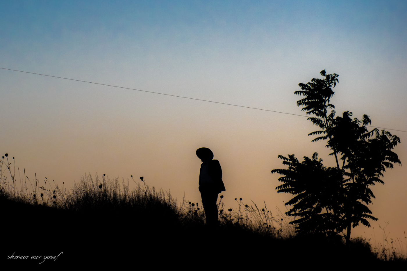 תיעוד מסכם: הילולת האר"י הקדוש בצפת