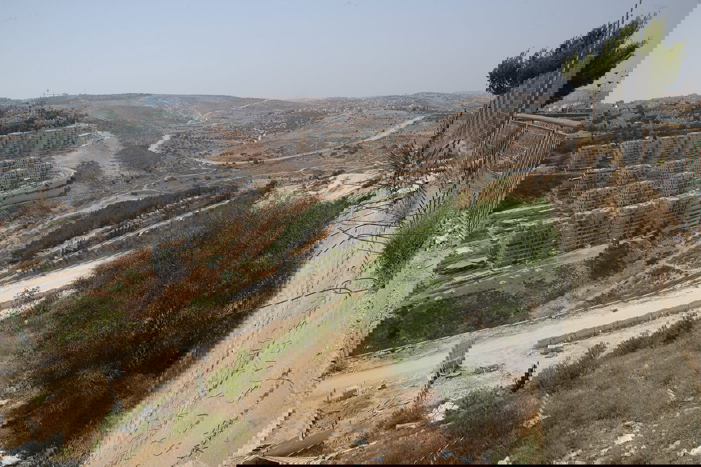 יום שרבי במיוחד בשכונת רמת שלמה • צפו