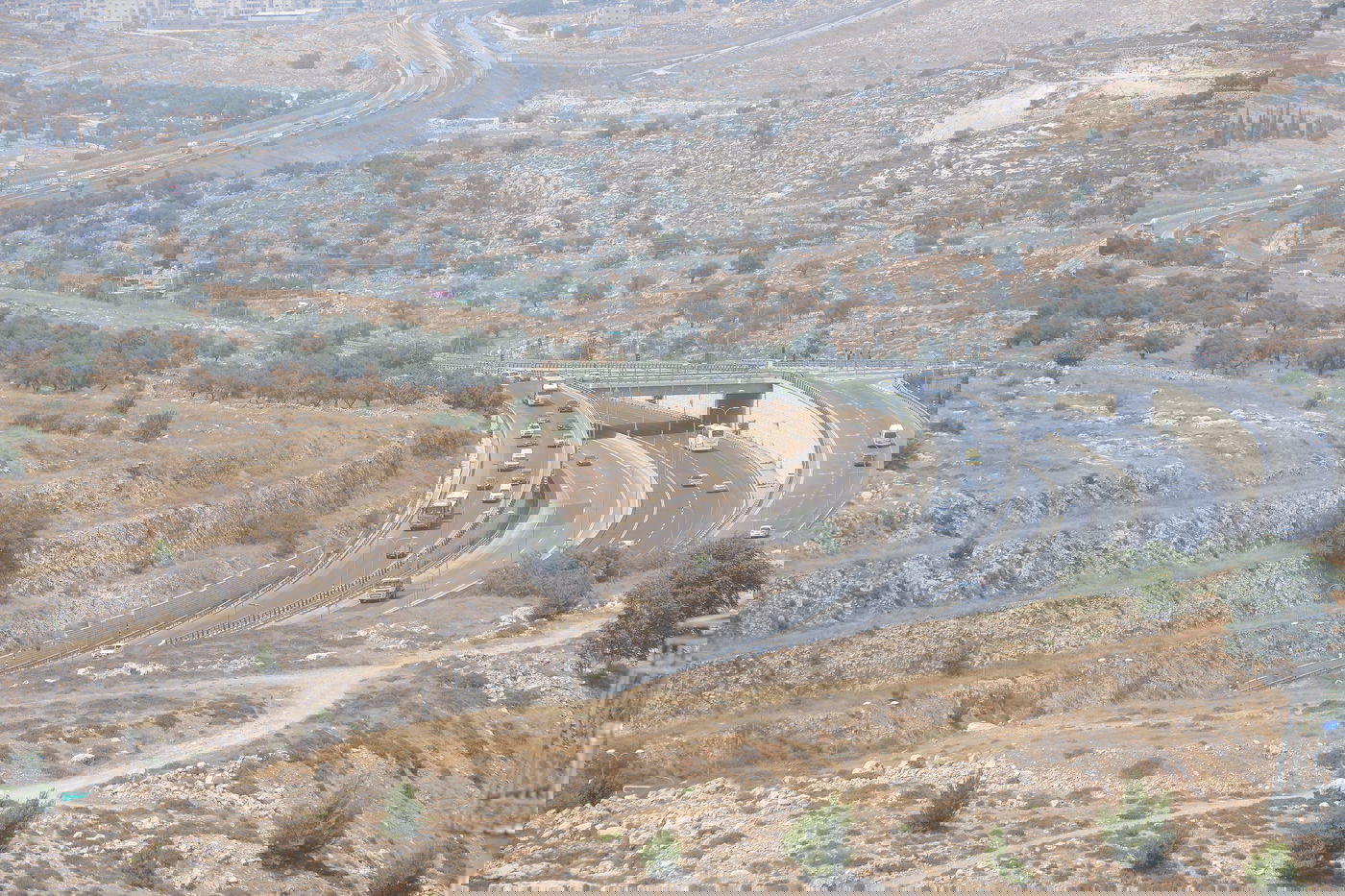 יום שרבי במיוחד בשכונת רמת שלמה • צפו