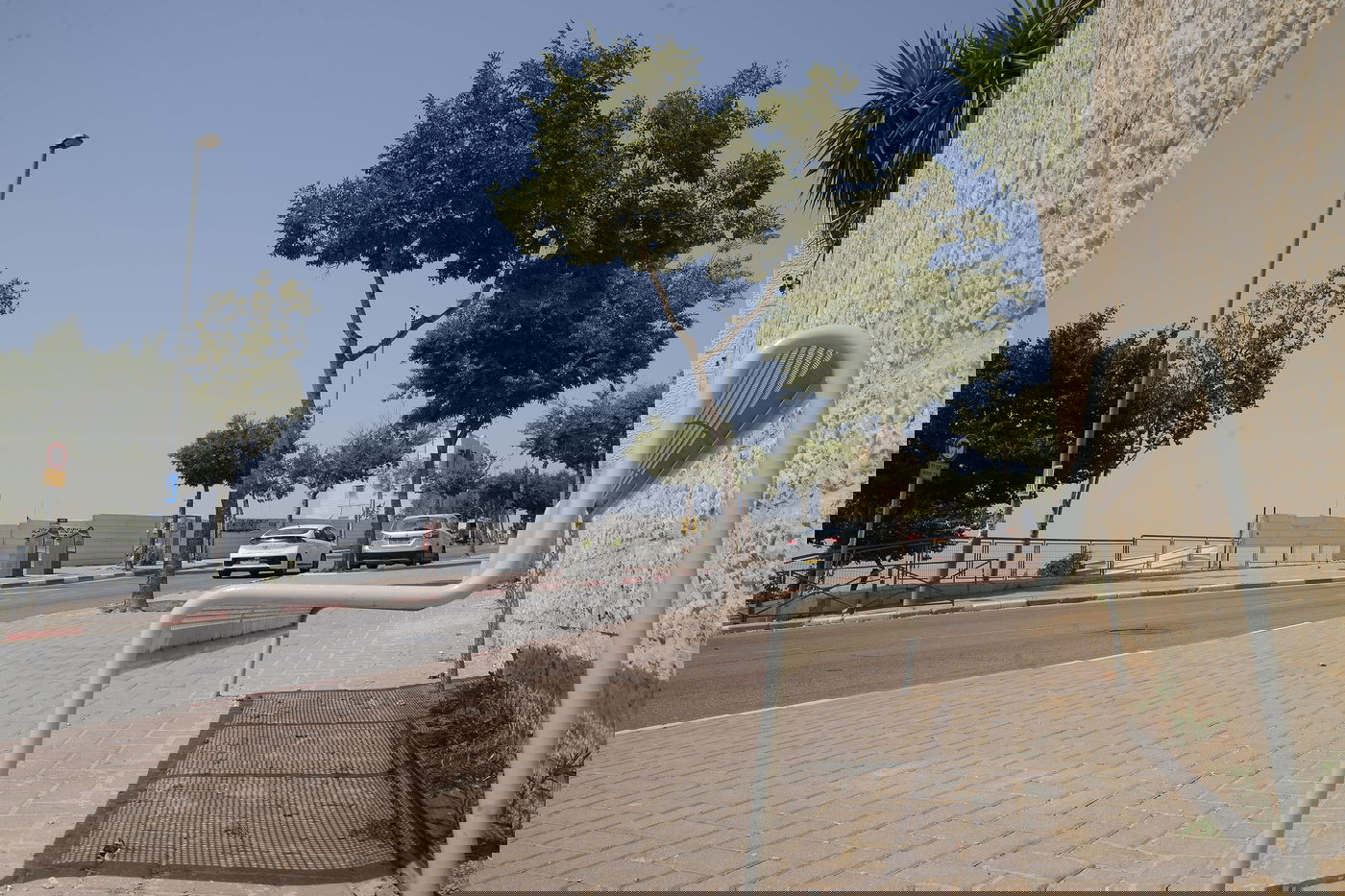 יום שרבי במיוחד בשכונת רמת שלמה • צפו