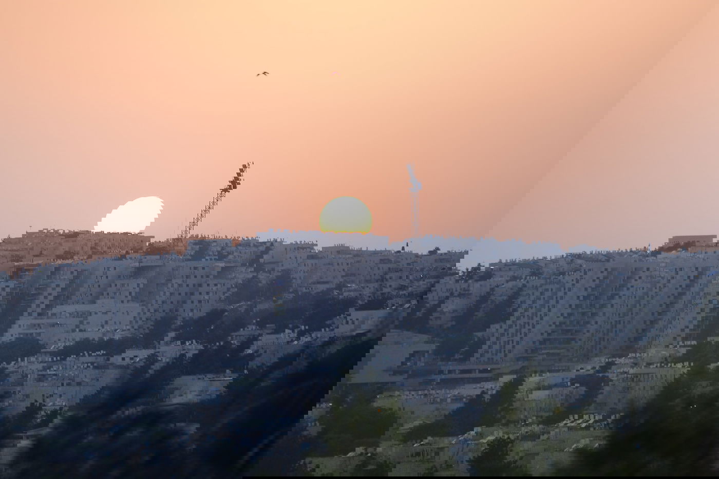 יום שרבי במיוחד בשכונת רמת שלמה • צפו