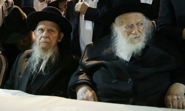 הגר"ח קנייבסקי והגר"ג אדלשטיין