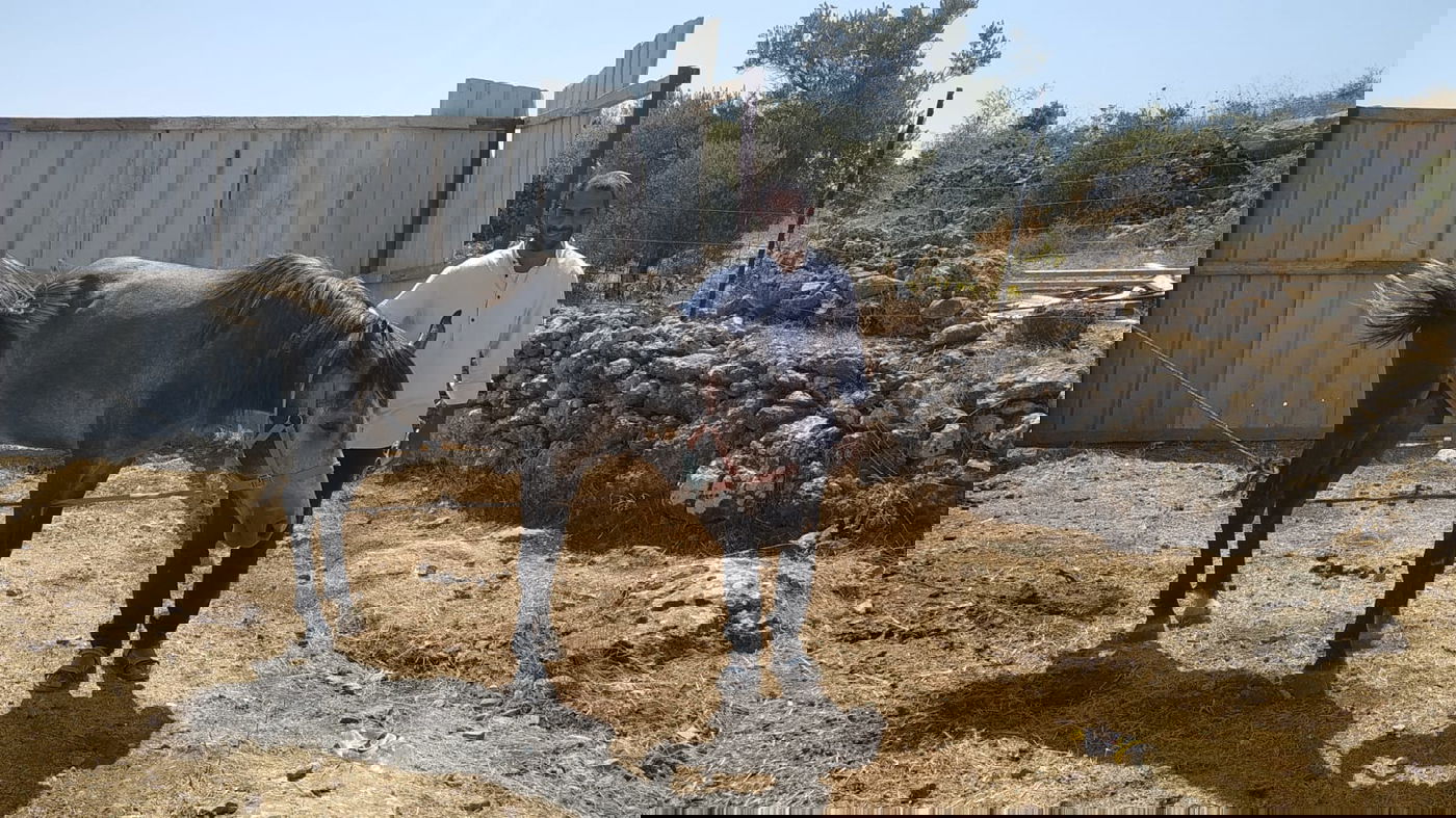 משעשע: תלמידים העניקו סוס למורה הדתי