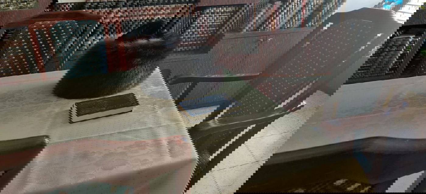 מרגש: ספודיק על השולחן, ערב תשעה באב