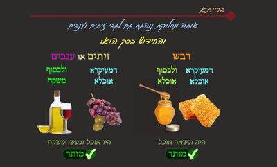 הדף היומי: מסכת שבת, דף קמ"ה • סיכום והמחשה