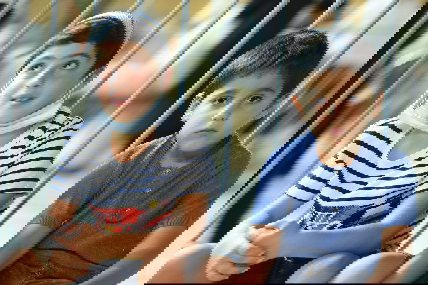 ליל תשעה באב בכותל המערבי • תיעוד מסכם