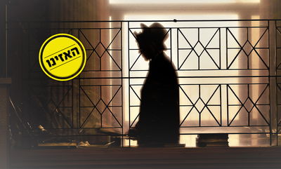 אילוסטרציה