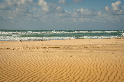 חוף הים באשקלון