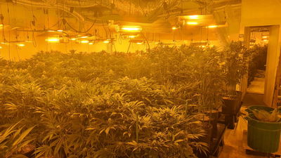 מעבדת סמים ענקית נמצאה בבניין משרדים