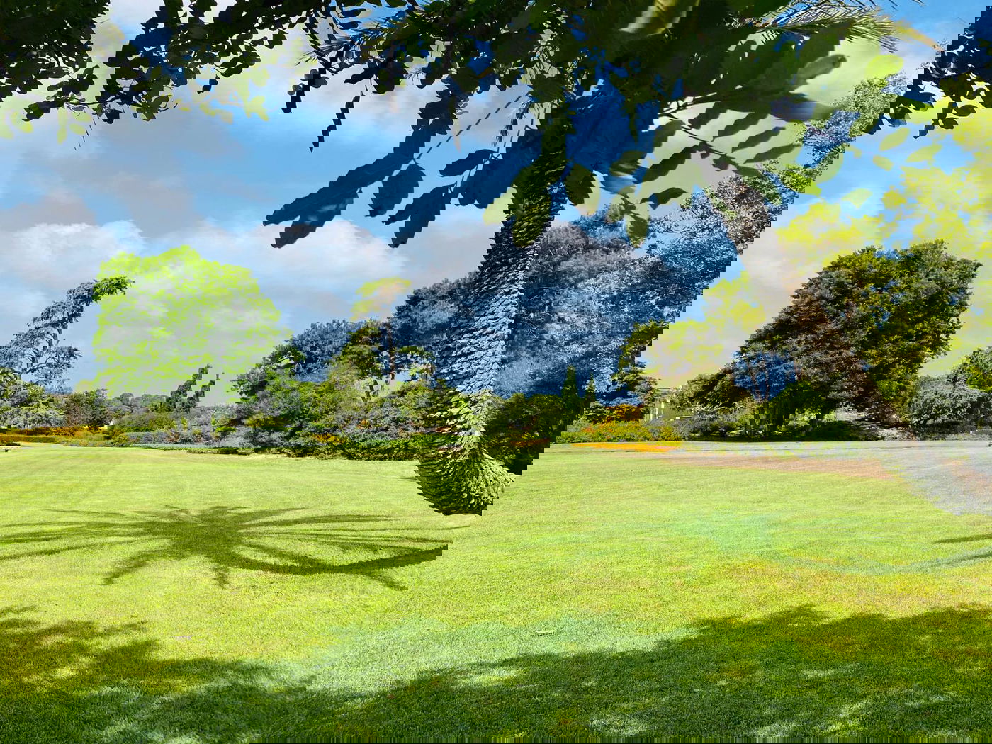 גלריה מרהיבה מגן רמת הנדיב בזכרון יעקב