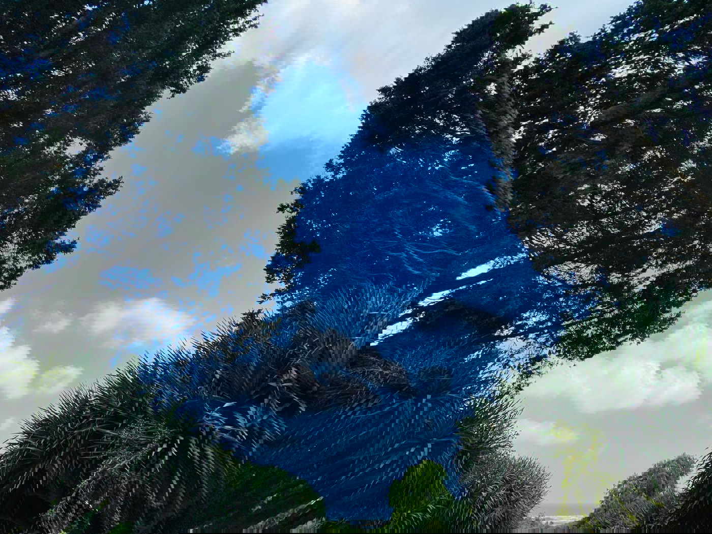 גלריה מרהיבה מגן רמת הנדיב בזכרון יעקב