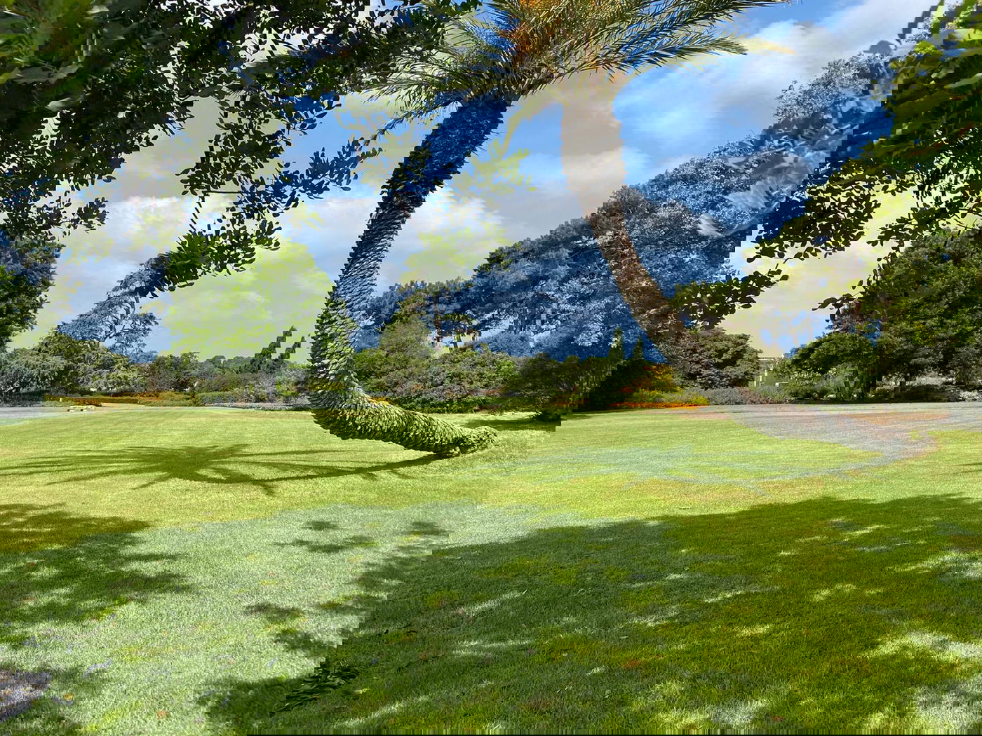 גלריה מרהיבה מגן רמת הנדיב בזכרון יעקב