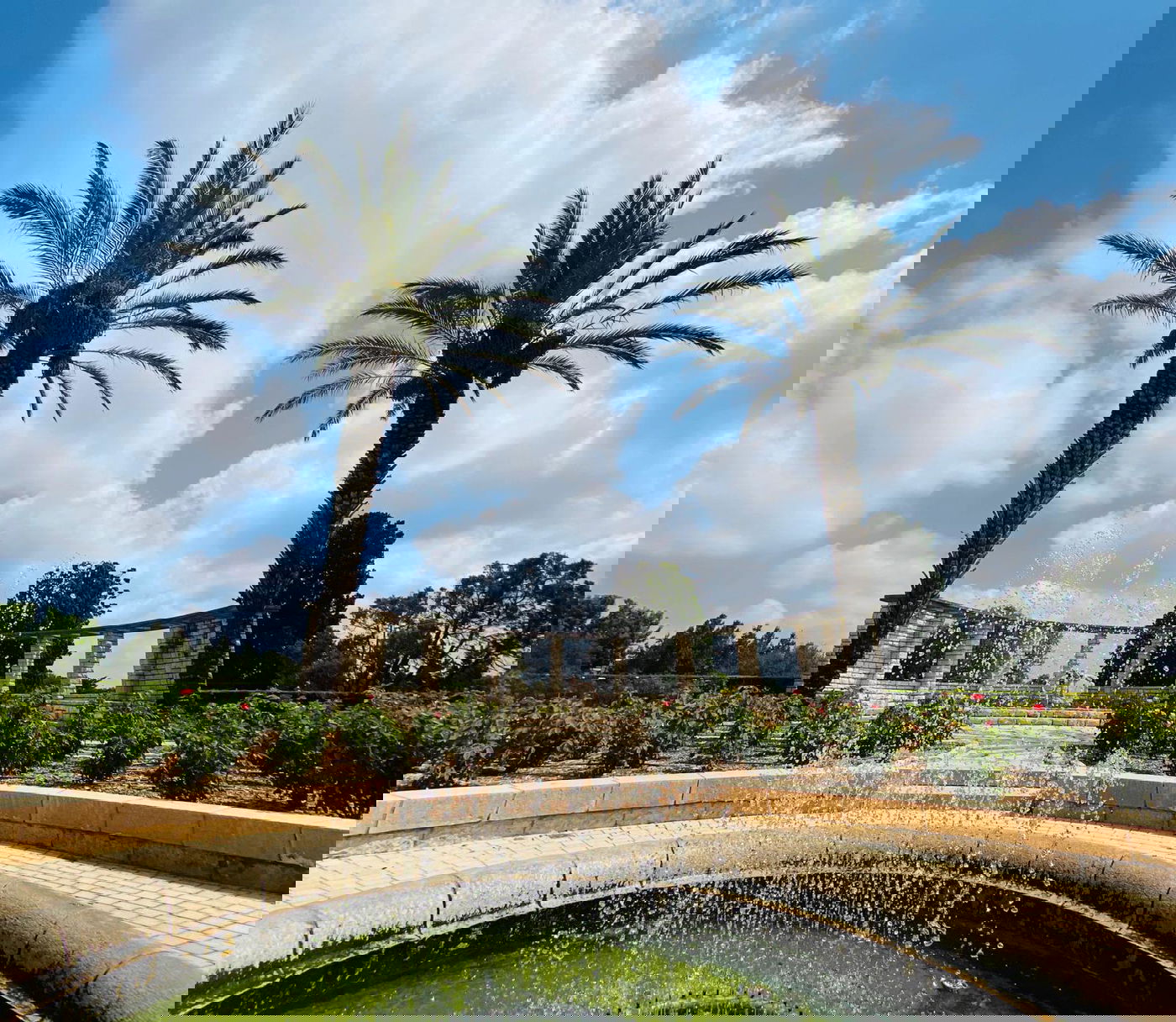 גלריה מרהיבה מגן רמת הנדיב בזכרון יעקב