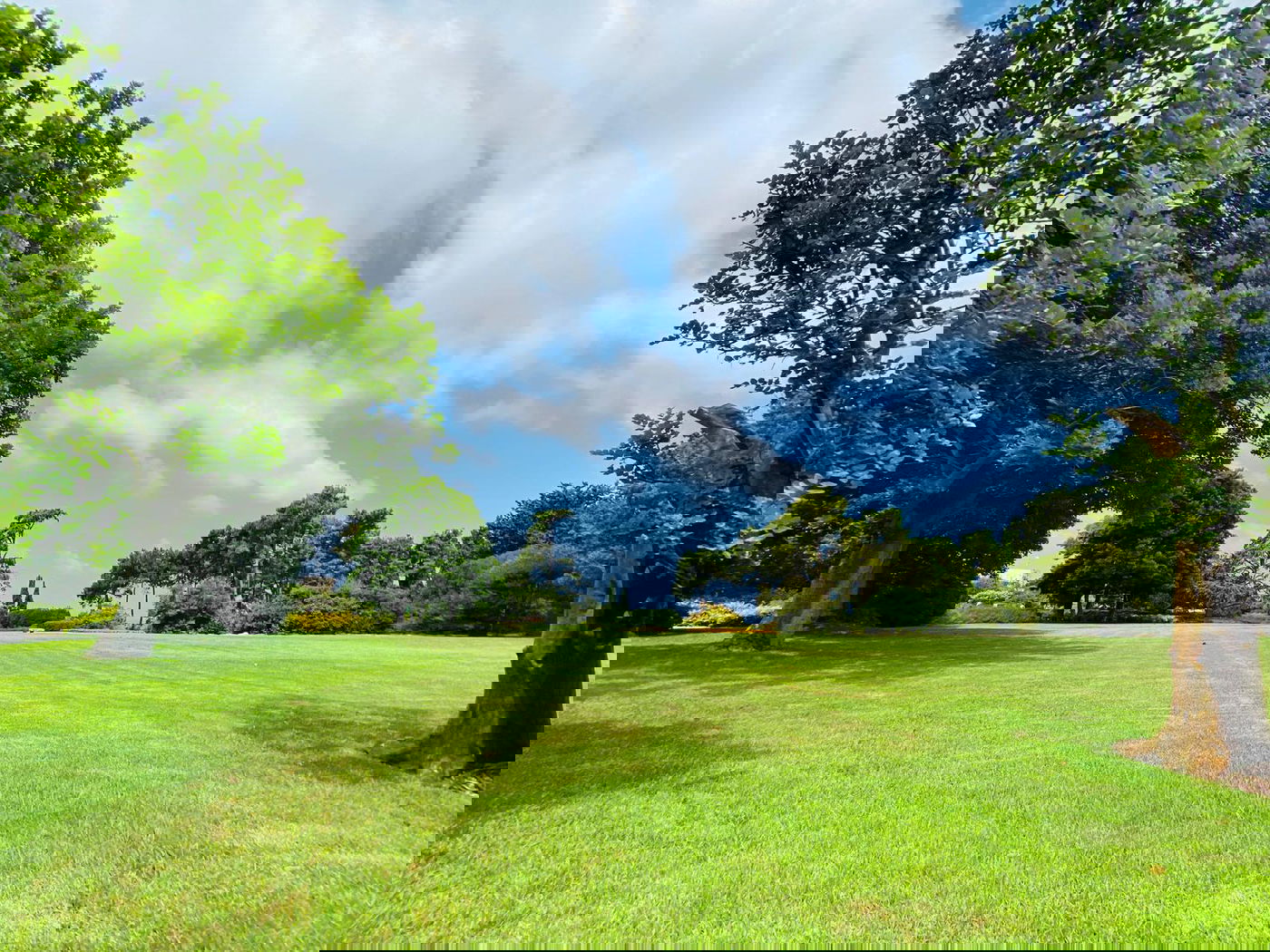 גלריה מרהיבה מגן רמת הנדיב בזכרון יעקב